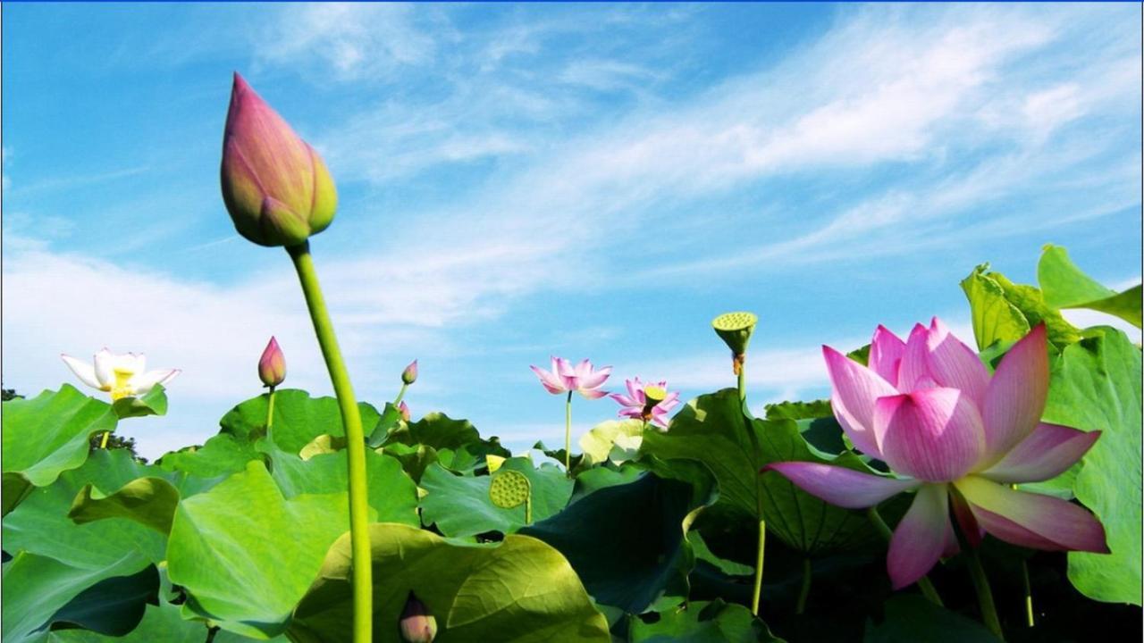 Trang An Retreat Villa Ninh Bình Kültér fotó