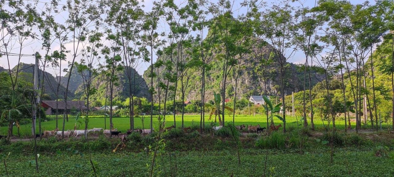 Trang An Retreat Villa Ninh Bình Kültér fotó