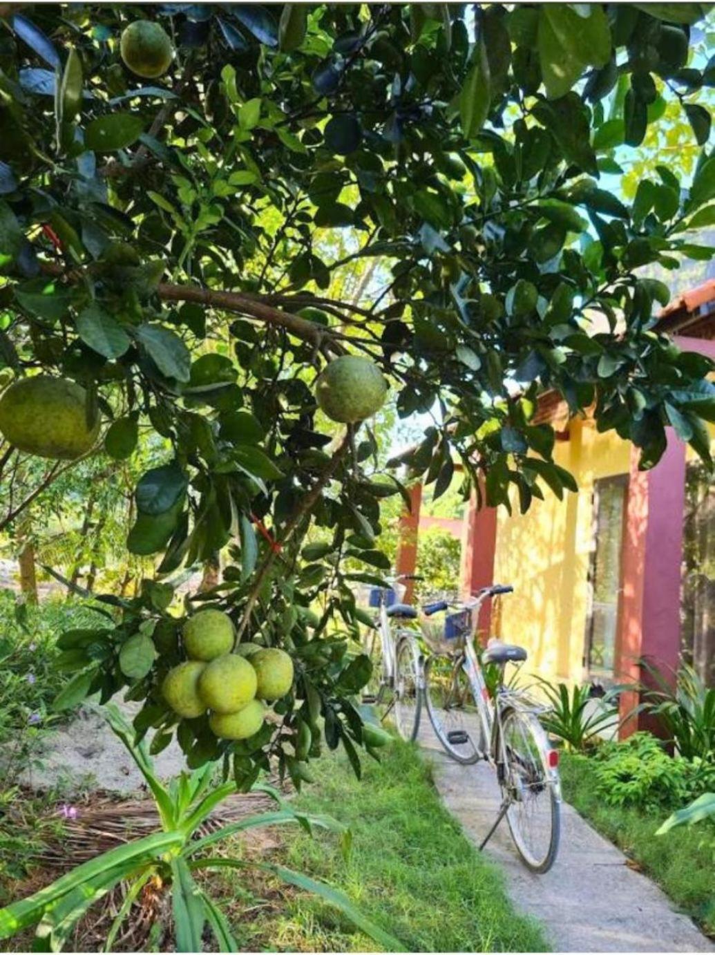Trang An Retreat Villa Ninh Bình Kültér fotó
