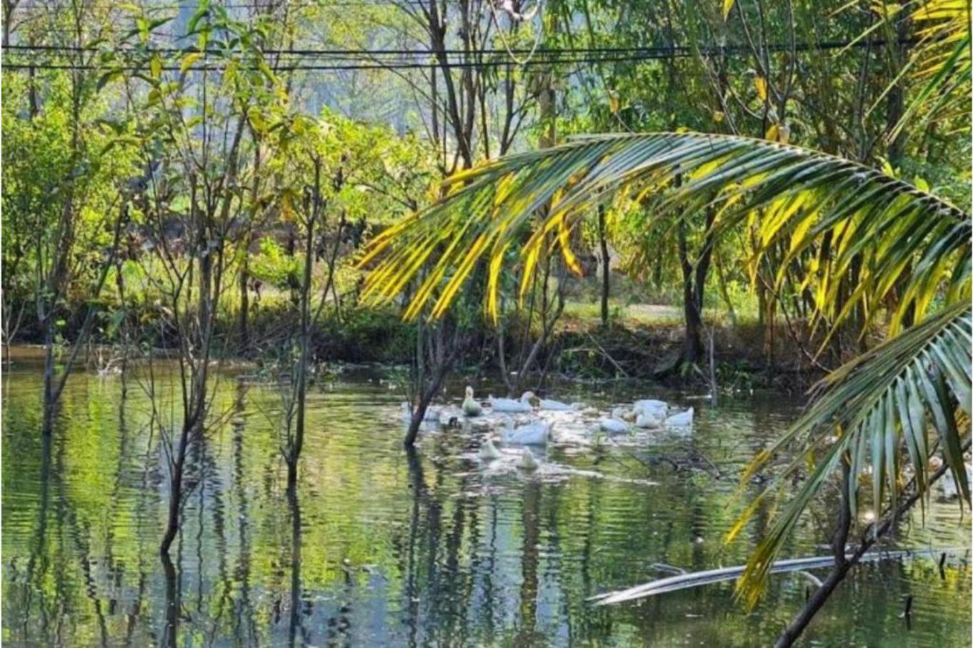 Trang An Retreat Villa Ninh Bình Kültér fotó